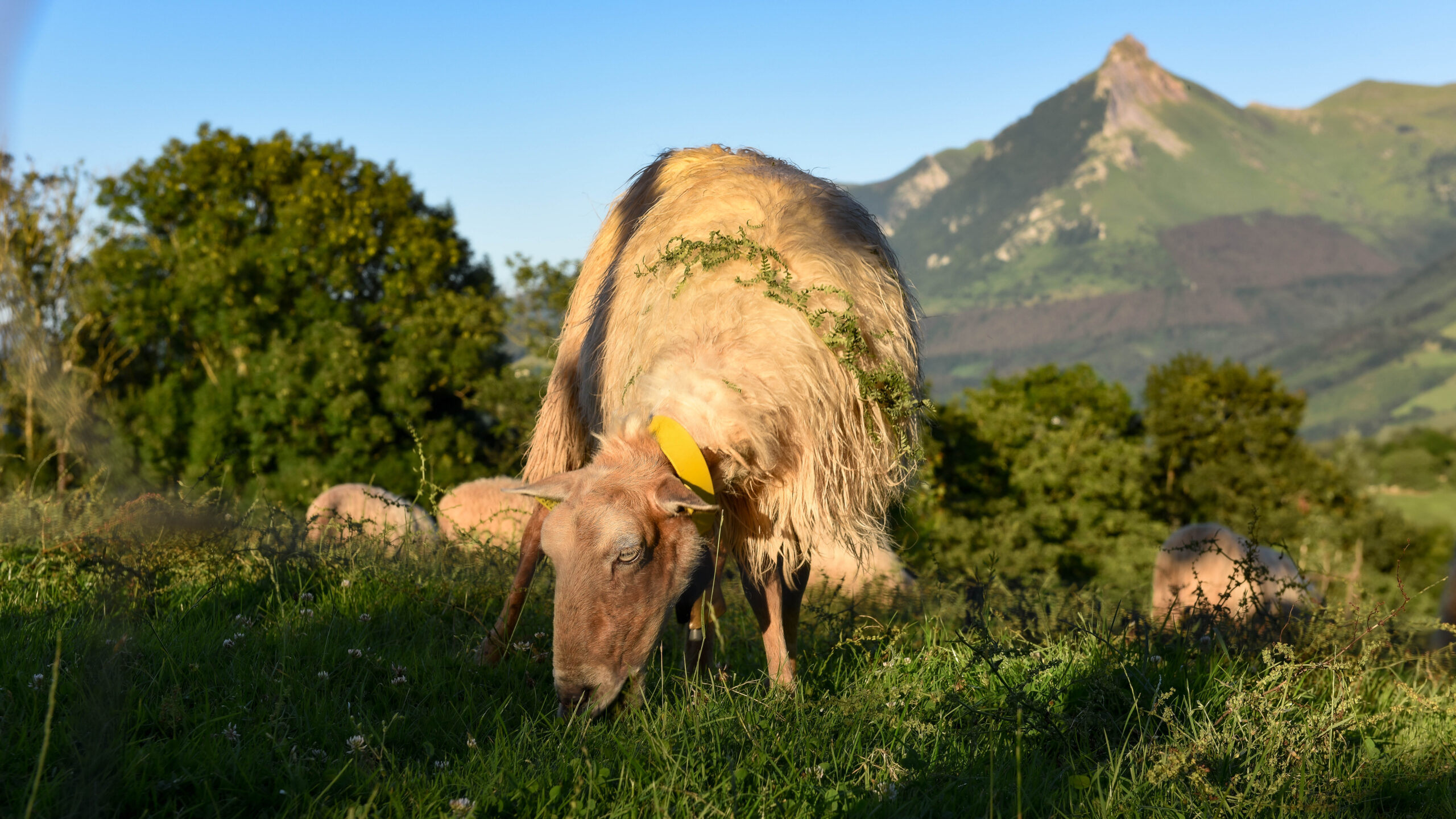 Goierri: cuatro estaciones de sabores, senderos y tradición