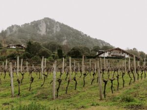 Bizkaia: The Quiet Luxury of the Extraordinary