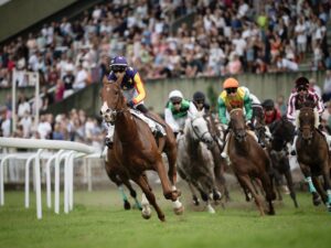 Hípica: recorrer Gipuzkoa a paso de caballo